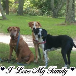 Meet your Posher, Janice